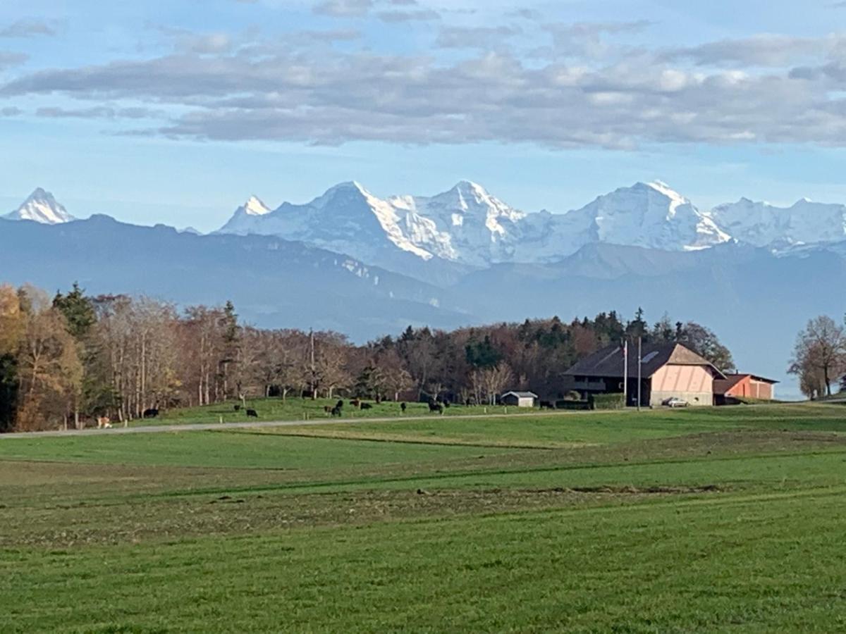 Mountain Home - Ein Aufenthalt Mit Weitblick Niedermuhlern Eksteriør billede